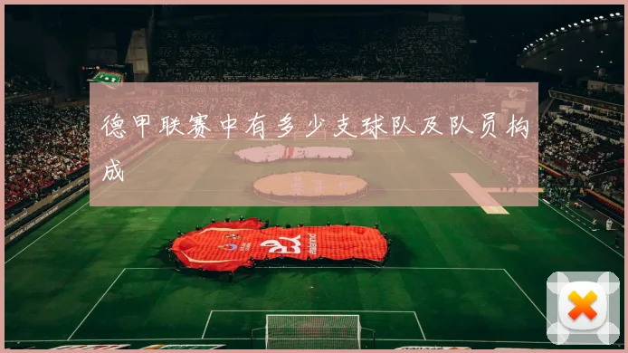 德甲联赛中有多少支球队及队员构成